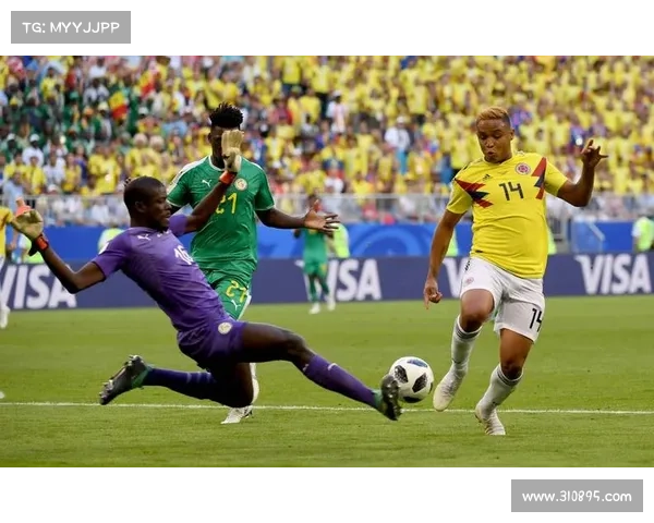 全面指南教你查询中国足球与巴西历史交锋记录途径详尽方法解析